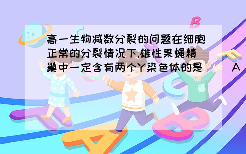 高一生物减数分裂的问题在细胞正常的分裂情况下,雄性果蝇精巢中一定含有两个Y染色体的是（ ）A  减数第一次分裂的初级精母细胞B  有丝分裂后期的精原细胞C  减数第二次分裂的次级精母