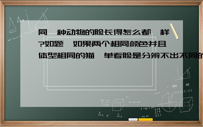 同一种动物的脸长得怎么都一样?如题,如果两个相同颜色并且体型相同的猫,单看脸是分辨不出不同的,会感觉它们的脸长得都一样.是不是动物都是靠气味,而不是靠长相去分辨同类的?是不是只