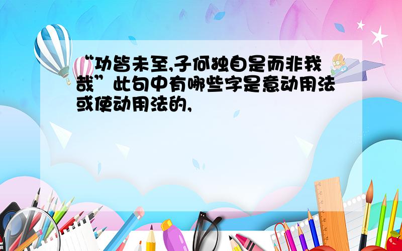 “功皆未至,子何独自是而非我哉”此句中有哪些字是意动用法或使动用法的,