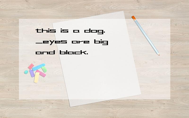 this is a dog._eyes are big and black.