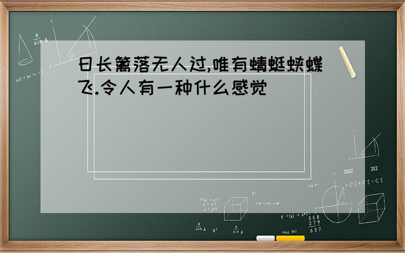 日长篱落无人过,唯有蜻蜓蛱蝶飞.令人有一种什么感觉