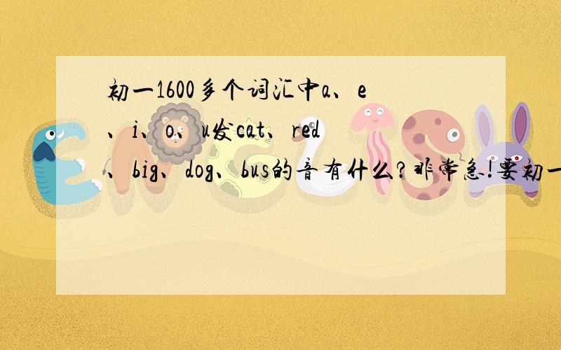 初一1600多个词汇中a、e、i、o、u发cat、red、big、dog、bus的音有什么?非常急!要初一1600词汇里的,只发和上面那5个词一样的音.