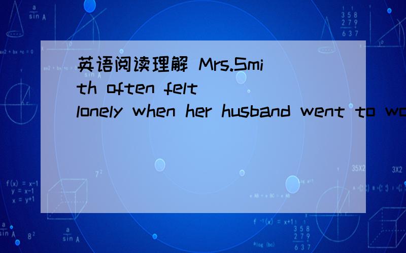 英语阅读理解 Mrs.Smith often felt lonely when her husband went to work.The room half an hour to tidy it.She couldn't get up early in the morning,so Mr.Smith had to cook breakfast  himself.She usually had some bread and milk for lunch and on