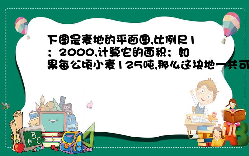 下图是麦地的平面图,比例尺1；2000,计算它的面积；如果每公顷小麦125吨,那么这块地一共可以产小麦多少吨【三角形麦地,底为4厘米,高为2厘米】