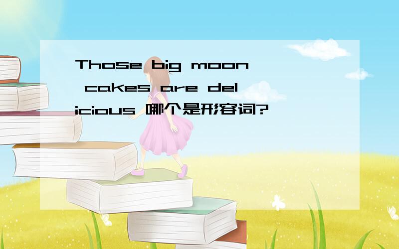 Those big moon cakes are delicious 哪个是形容词?