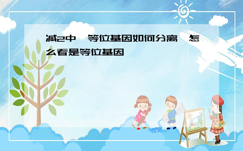 减2中,等位基因如何分离,怎么看是等位基因