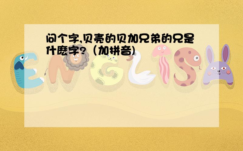 问个字,贝壳的贝加兄弟的兄是什麽字?（加拼音)