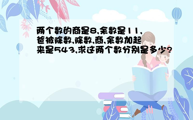 两个数的商是8,余数是11,爸被除数,除数,商,余数加起来是543,求这两个数分别是多少?