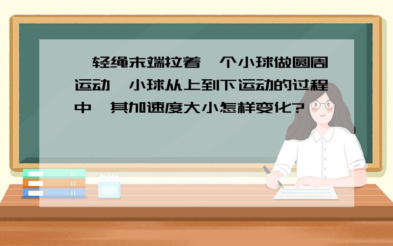 一轻绳末端拉着一个小球做圆周运动,小球从上到下运动的过程中,其加速度大小怎样变化?