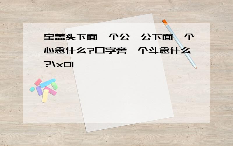 宝盖头下面一个公,公下面一个心念什么?口字旁一个斗念什么?\x01