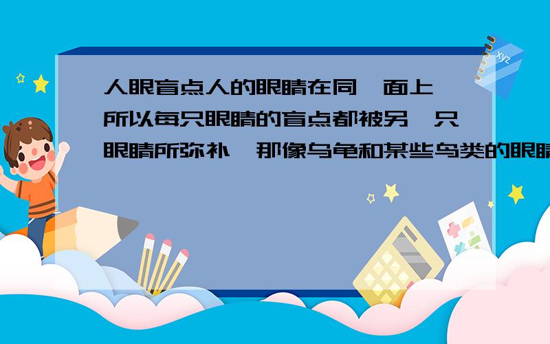 人眼盲点人的眼睛在同一面上,所以每只眼睛的盲点都被另一只眼睛所弥补,那像乌龟和某些鸟类的眼睛在头的两侧时,该怎么寻找它的盲点?比如乌龟,我可否躲进它的盲点里?