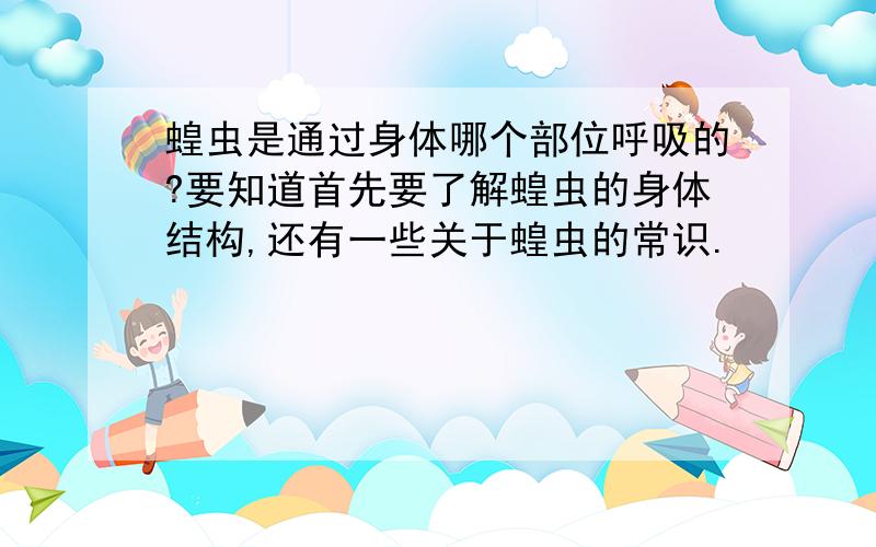 蝗虫是通过身体哪个部位呼吸的?要知道首先要了解蝗虫的身体结构,还有一些关于蝗虫的常识.