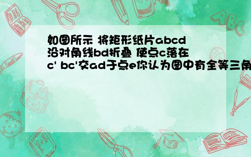 如图所示 将矩形纸片abcd沿对角线bd折叠 使点c落在c' bc'交ad于点e你认为图中有全等三角形吗?如果有,请写出一对,并说明理由.如果没有,也请说明理由.