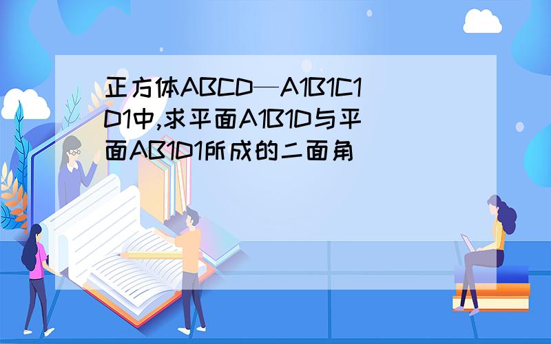 正方体ABCD—A1B1C1D1中,求平面A1B1D与平面AB1D1所成的二面角