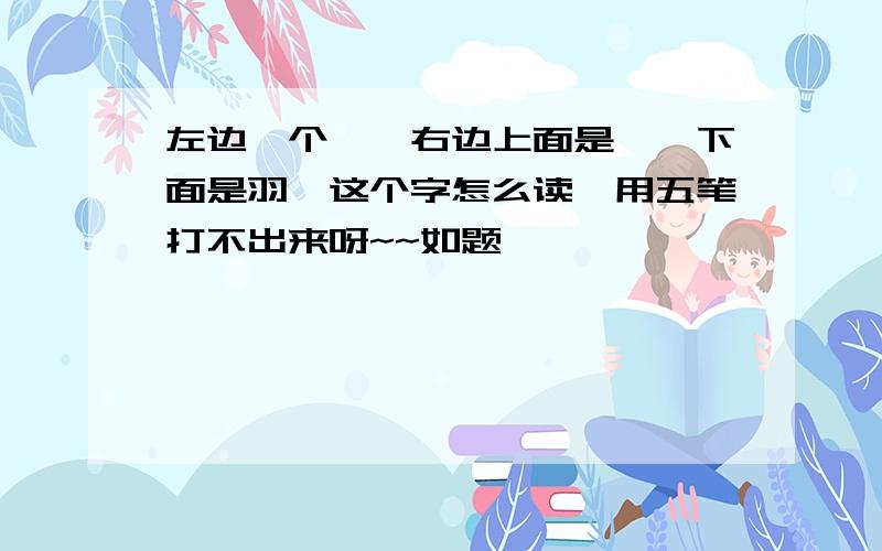 左边一个礻,右边上面是罒,下面是羽,这个字怎么读,用五笔打不出来呀~~如题