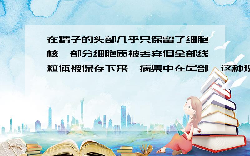 在精子的头部几乎只保留了细胞核,部分细胞质被丢弃但全部线粒体被保存下来,病集中在尾部,这种现象怎样解释?