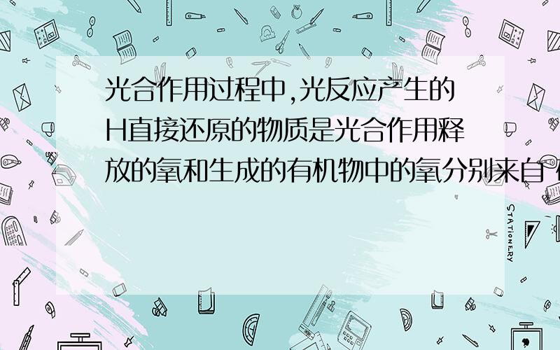 光合作用过程中,光反应产生的H直接还原的物质是光合作用释放的氧和生成的有机物中的氧分别来自 研磨绿叶时要加入酒精,其目的是