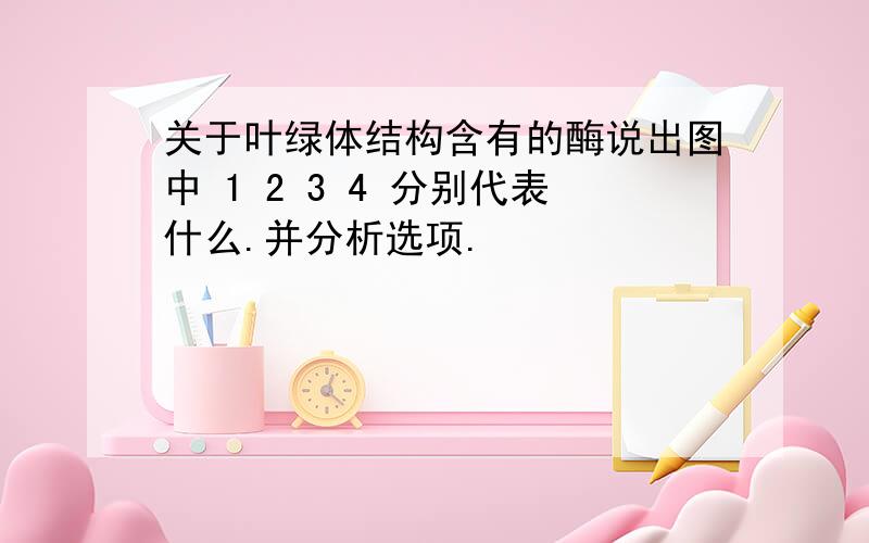 关于叶绿体结构含有的酶说出图中 1 2 3 4 分别代表什么.并分析选项.