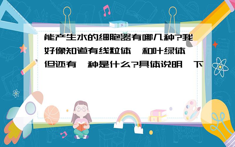 能产生水的细胞器有哪几种?我好像知道有线粒体,和叶绿体,但还有一种是什么?具体说明一下