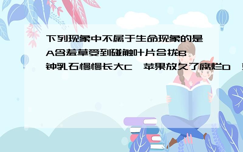 下列现象中不属于生命现象的是A含羞草受到碰触叶片合拢B、钟乳石慢慢长大C、苹果放久了腐烂D、夏天剩余的饭菜变质了