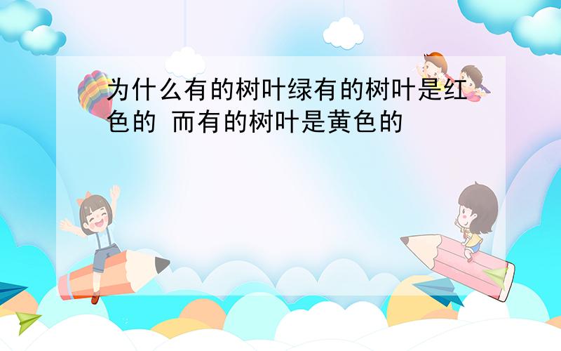 为什么有的树叶绿有的树叶是红色的 而有的树叶是黄色的