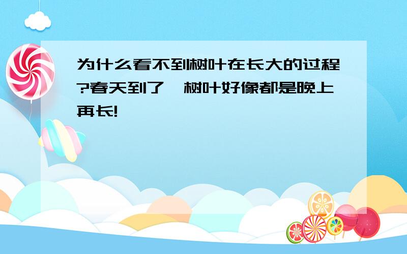 为什么看不到树叶在长大的过程?春天到了,树叶好像都是晚上再长!