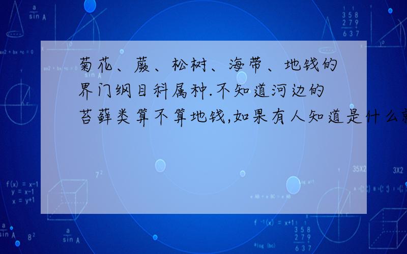 菊花、蕨、松树、海带、地钱的界门纲目科属种.不知道河边的苔藓类算不算地钱,如果有人知道是什么就说什么的好了（看不懂这句话的就别看这句话）