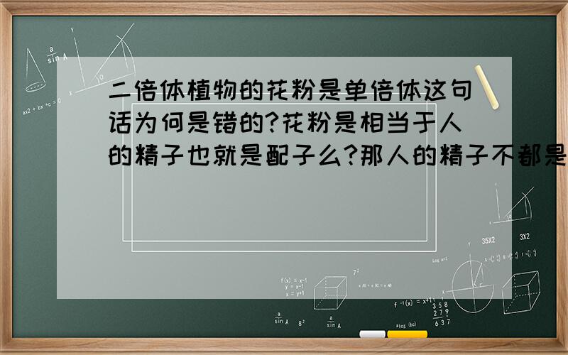 二倍体植物的花粉是单倍体这句话为何是错的?花粉是相当于人的精子也就是配子么?那人的精子不都是单倍体