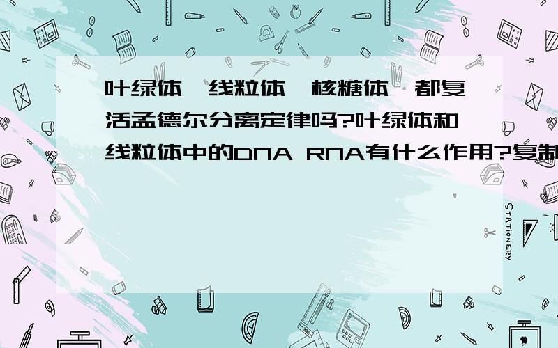 叶绿体,线粒体,核糖体,都复活孟德尔分离定律吗?叶绿体和线粒体中的DNA RNA有什么作用?复制和表达吗?转录和翻译吗?