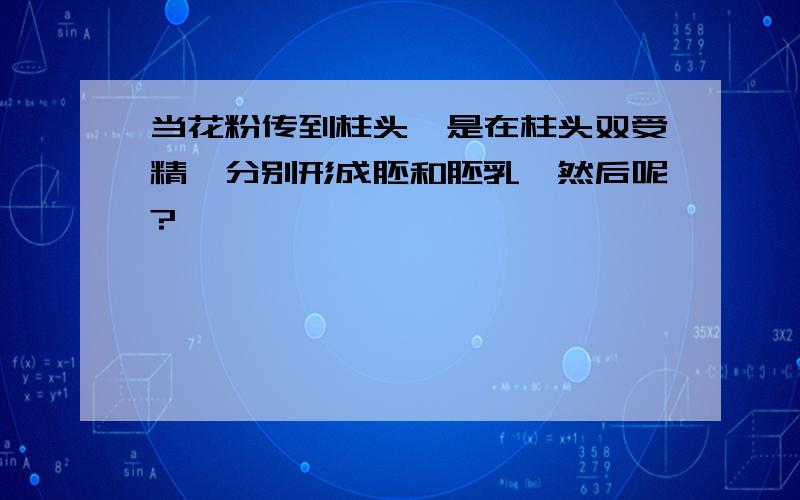 当花粉传到柱头,是在柱头双受精,分别形成胚和胚乳,然后呢?