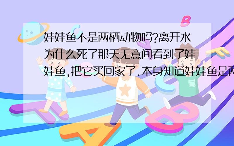 娃娃鱼不是两栖动物吗?离开水为什么死了那天无意间看到了娃娃鱼,把它买回家了.本身知道娃娃鱼是两栖动物.不过那天它从阳台上跑下来.在我床头呆了一晚上没有死.（晚上做梦它在我枕头