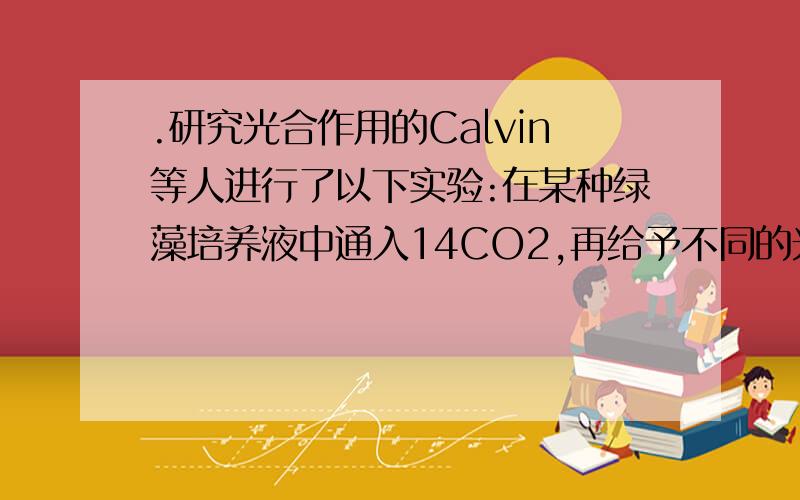 .研究光合作用的Calvin等人进行了以下实验:在某种绿藻培养液中通入14CO2,再给予不同的光照时间后从培养液中提取并分析放射性物质.预测实验结果是 BA． 光照时间越长,积累的3-磷酸甘油酸越