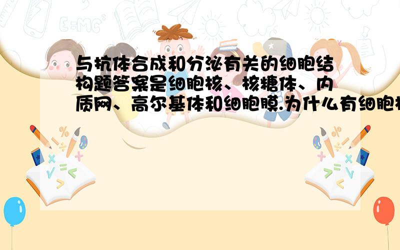 与抗体合成和分泌有关的细胞结构题答案是细胞核、核糖体、内质网、高尔基体和细胞膜.为什么有细胞核呢?答案说要转录和翻译,那不意味着细胞核里有抗体相关的基因?先天的?后天的就有