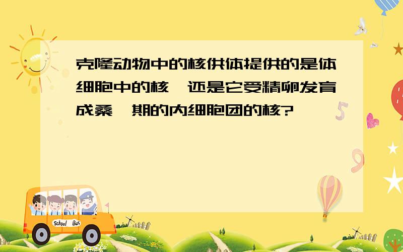 克隆动物中的核供体提供的是体细胞中的核,还是它受精卵发育成桑椹期的内细胞团的核?