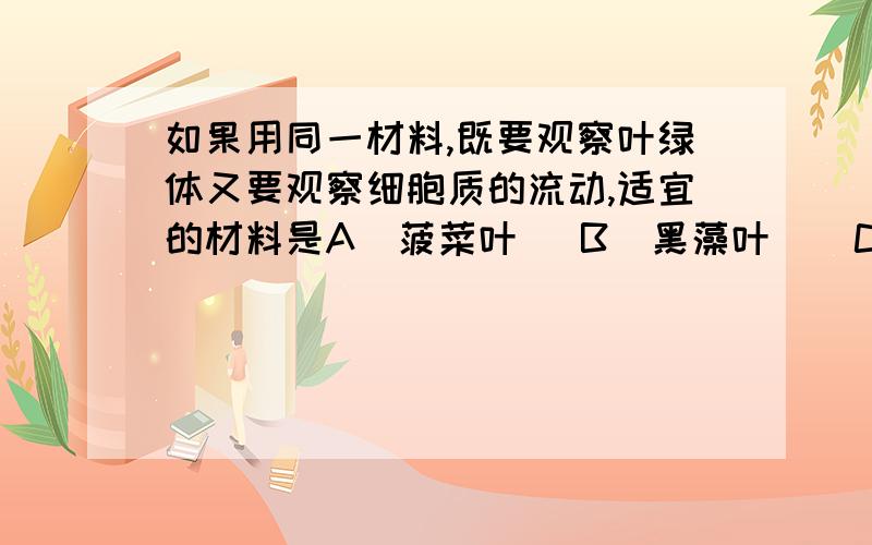 如果用同一材料,既要观察叶绿体又要观察细胞质的流动,适宜的材料是A  菠菜叶   B  黑藻叶    C  白菜叶   D  水稻叶  请附加详细的解答过程,O(∩_∩)O谢谢!为什么菠菜叶不行啊