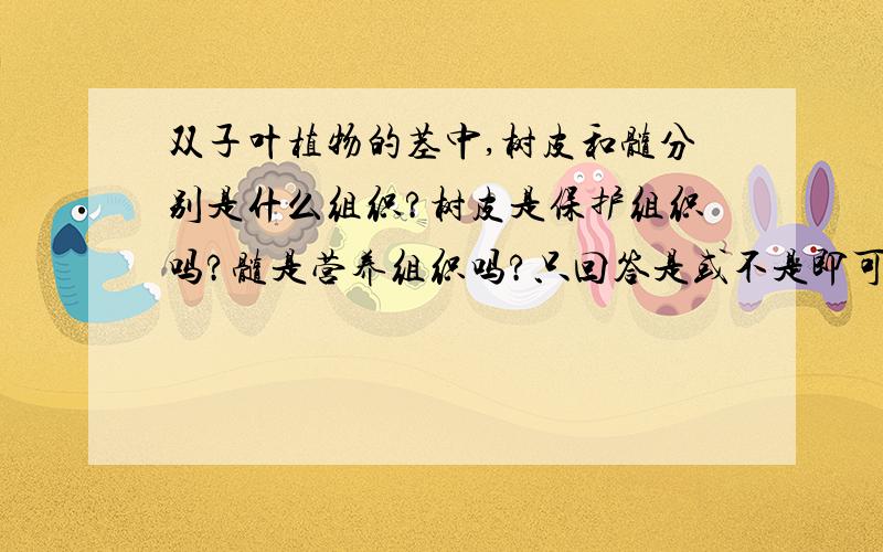 双子叶植物的茎中,树皮和髓分别是什么组织?树皮是保护组织吗?髓是营养组织吗?只回答是或不是即可,简述原因最好.不要大段的文字.非常感谢!