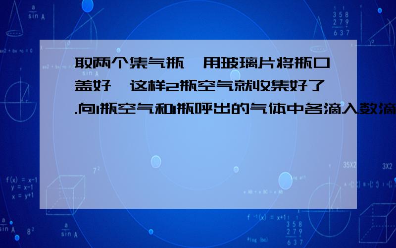 取两个集气瓶,用玻璃片将瓶口盖好,这样2瓶空气就收集好了.向1瓶空气和1瓶呼出的气体中各滴入数滴澄清的石灰水,振荡》会有什么现象?