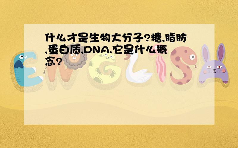 什么才是生物大分子?糖,脂肪,蛋白质,DNA.它是什么概念?