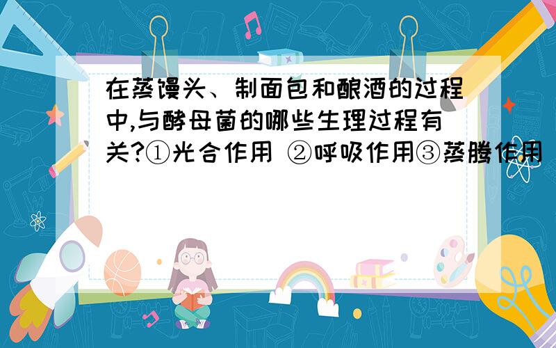 在蒸馒头、制面包和酿酒的过程中,与酵母菌的哪些生理过程有关?①光合作用 ②呼吸作用③蒸腾作用 ④生殖A．①② B．②③ C．③④ D．②④