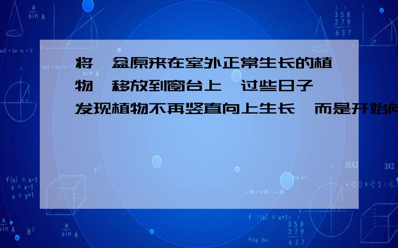 将一盆原来在室外正常生长的植物,移放到窗台上,过些日子,发现植物不再竖直向上生长,而是开始向着窗外弯曲生长,则说明什么?2点