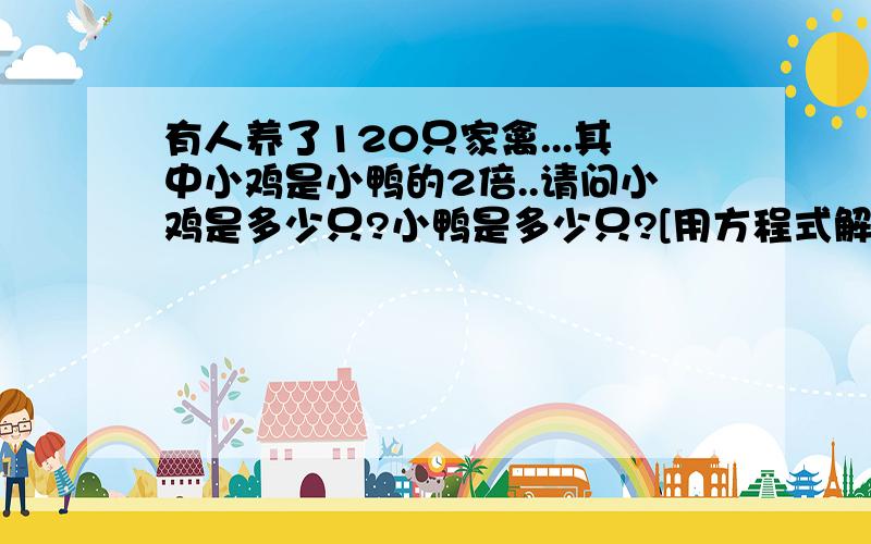 有人养了120只家禽...其中小鸡是小鸭的2倍..请问小鸡是多少只?小鸭是多少只?[用方程式解越快越好