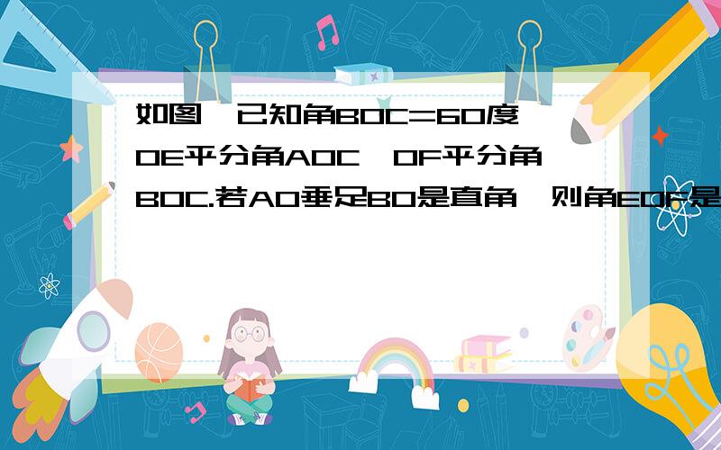 如图,已知角BOC=60度,OE平分角AOC,OF平分角BOC.若AO垂足BO是直角,则角EOF是多少