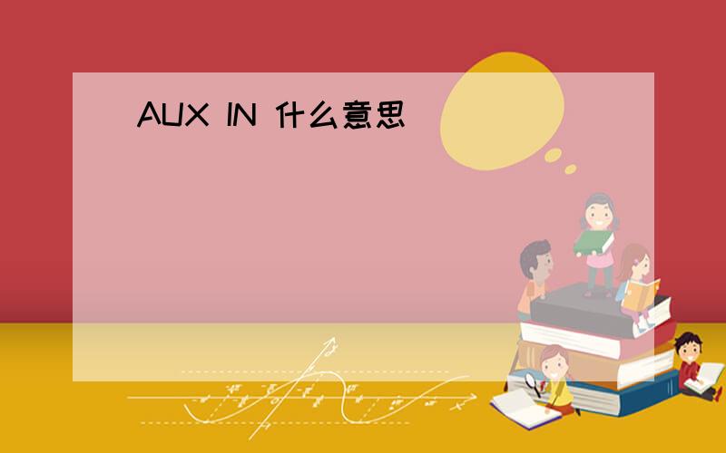 AUX IN 什么意思