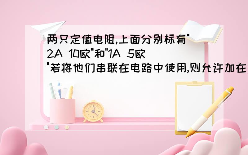 两只定值电阻,上面分别标有