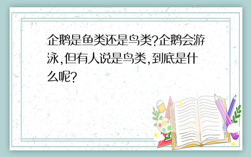 企鹅是鱼类还是鸟类?企鹅会游泳,但有人说是鸟类,到底是什么呢?