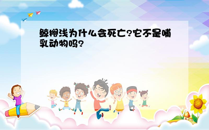 鲸搁浅为什么会死亡?它不是哺乳动物吗?