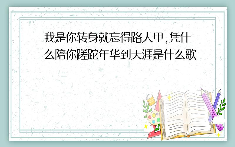 我是你转身就忘得路人甲,凭什么陪你蹉跎年华到天涯是什么歌