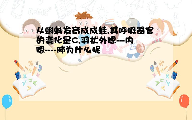 从蝌蚪发育成成蛙,其呼吸器官的变化是C,羽状外腮---内腮----肺为什么呢