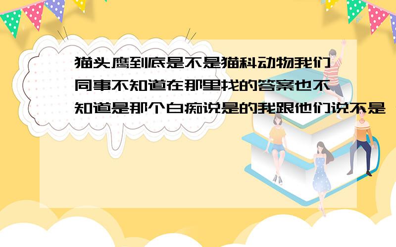 猫头鹰到底是不是猫科动物我们同事不知道在那里找的答案也不知道是那个白痴说是的我跟他们说不是 他们不信我差百度百科他们说 什么是鸟类那个什么目不算还合起伙气我还说我将我天