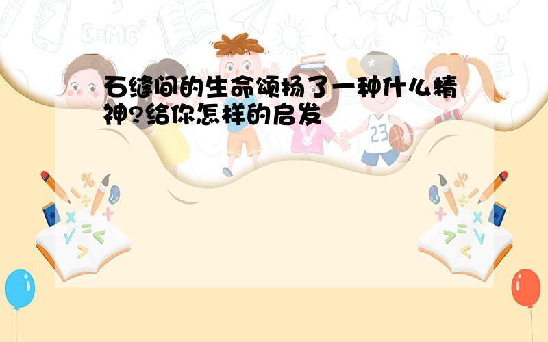 石缝间的生命颂扬了一种什么精神?给你怎样的启发